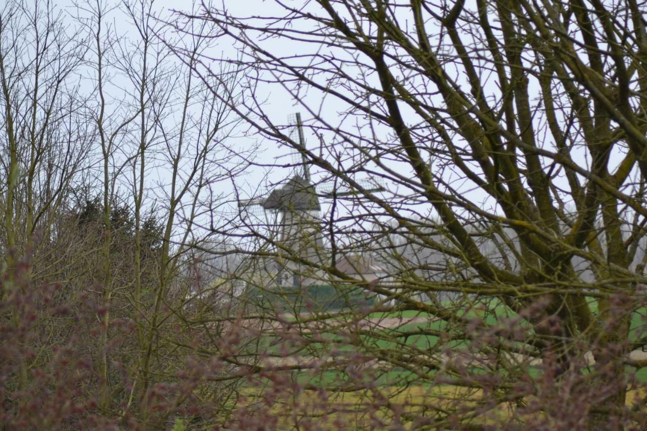 B&B Molenzicht Ninove Zewnętrze zdjęcie