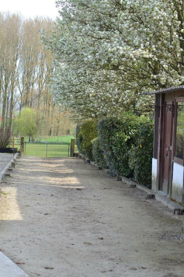 B&B Molenzicht Ninove Zewnętrze zdjęcie